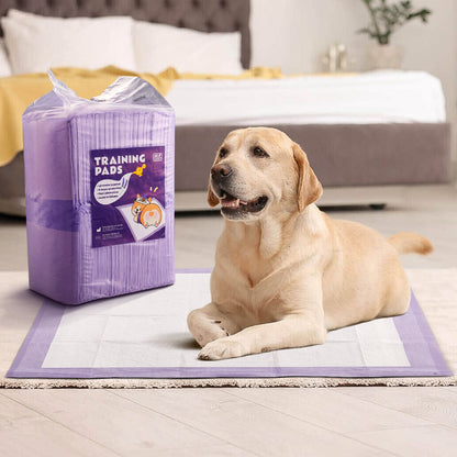 50-Piece Disposable Pet Training Pads – Lavender Scented, Absorbent and Leak-Proof Pads for Puppies and Cats