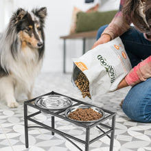 Elevated Dual-Bowl Pet Feeder – Stainless Steel Bowls for Healthy Digestion