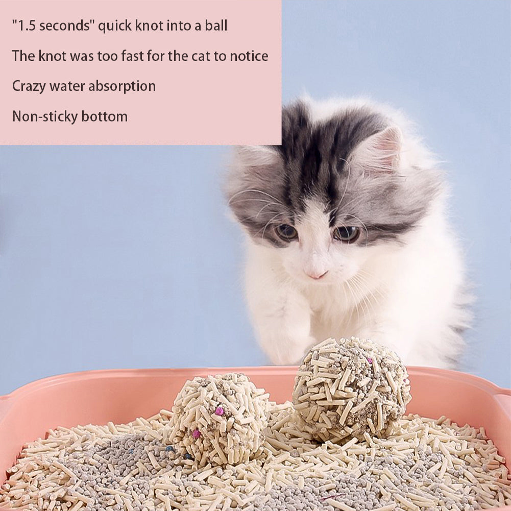 6L Natural Biodegradable Tofu Cat Litter – Effective Odour Control & Clumping, Easy Cleanup