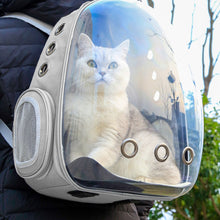 Transparent Capsule Pet Travel Backpack – Breathable Bubble Carrier for Cats and Small Pets