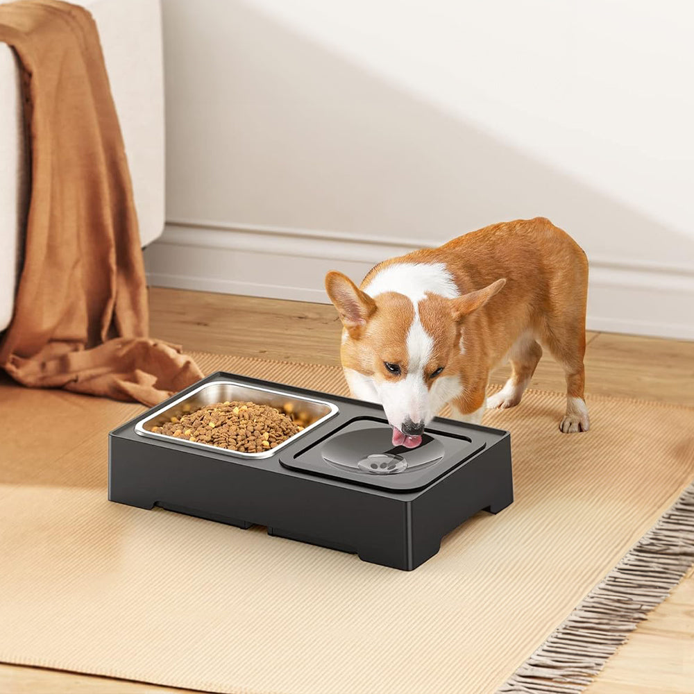 Height Adjustable Pet Feeder Stand – 2 Bowls (1.6L Food, 1L Water), Foldable, Spill-Resistant Design