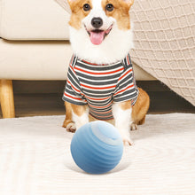 2Pcs Rechargeable Interactive Cat Toy Balls – Smart, Obstacle-Avoidance, LED Light-Up Fun
