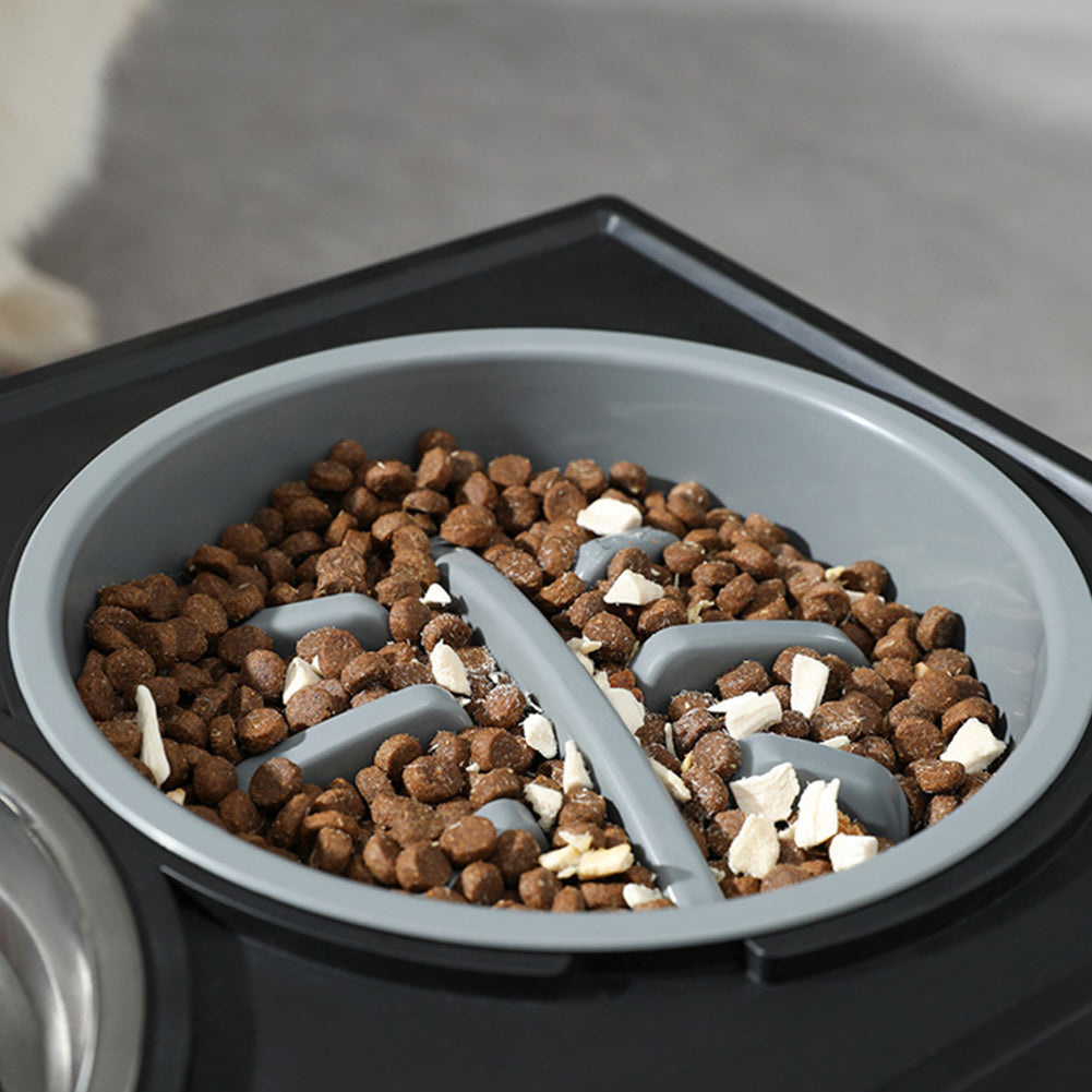 Height Adjustable Elevated Pet Feeder wiHeight Adjustable Elevated Pet Feeder with Stainless Steel Bowls – 2 Bowls, Removable Designth Two Bowls and Stand, WM0213