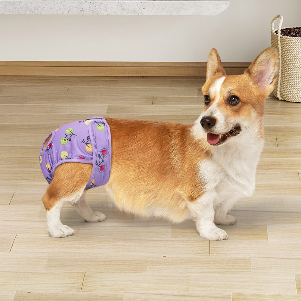 Reusable Pet Nappies – 3-Pack Washable Diapers for Medium Pets, Leak-Proof & Soft Fit