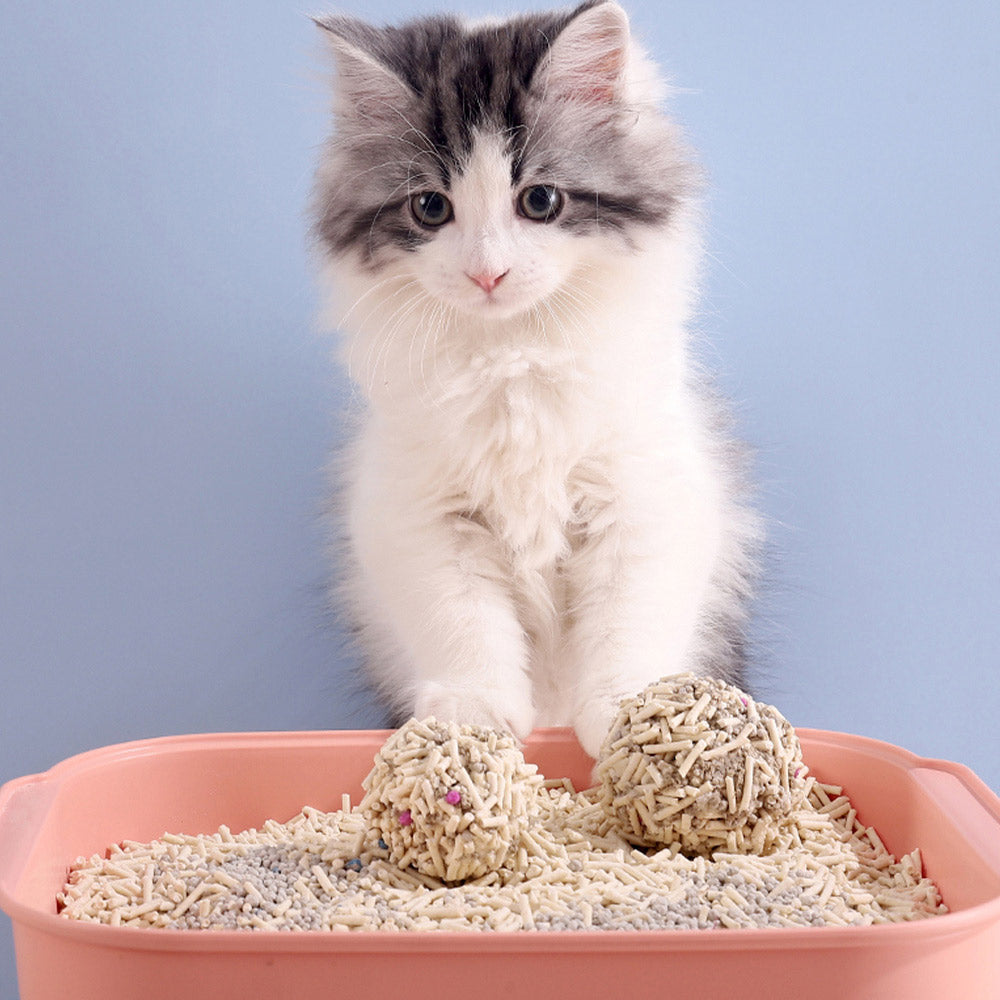6L Quick Clumping Dust-Free Mixed Tofu Cat Litter – Odor Control, Easy Clean, and Toilet-Friendly Formula