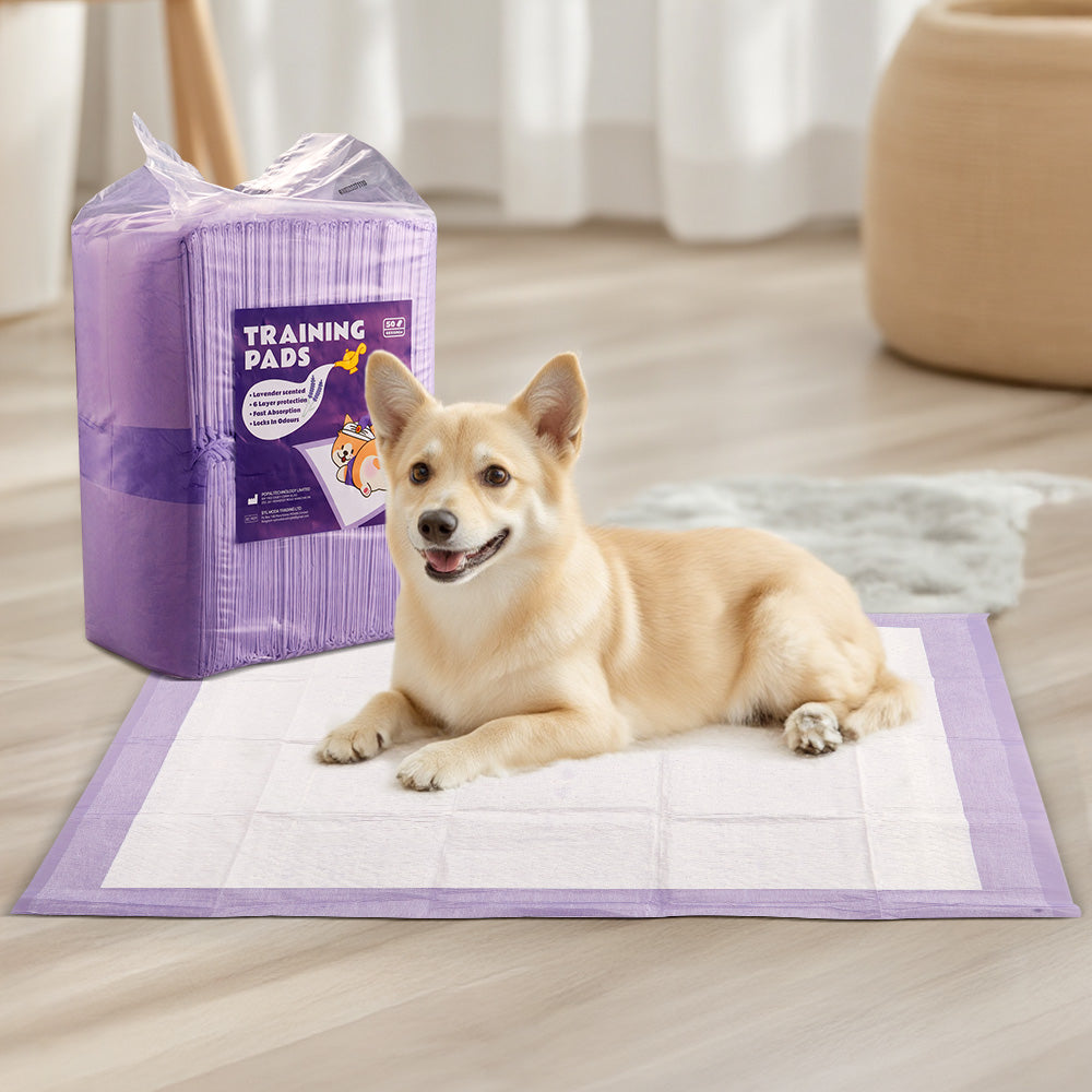 50-Piece Disposable Pet Training Pads – Lavender Scented, Absorbent and Leak-Proof Pads for Puppies and Cats