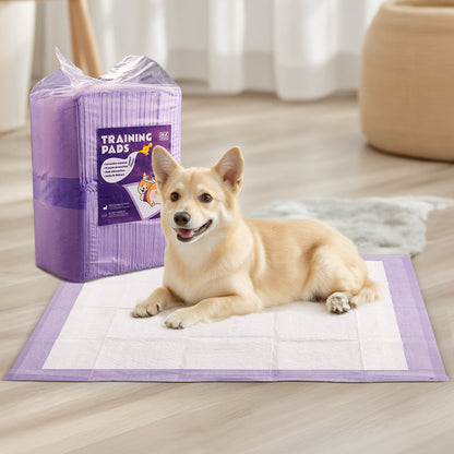 50-Piece Disposable Pet Training Pads – Lavender Scented, Absorbent and Leak-Proof Pads for Puppies and Cats