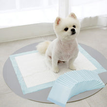 M-Size Disposable Training Pads for Puppies & Cats – 50-Pack, Quick Absorbency