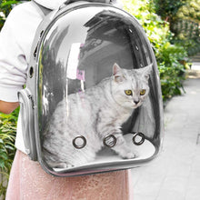 Transparent Capsule Pet Travel Backpack – Breathable Bubble Carrier for Cats and Small Pets