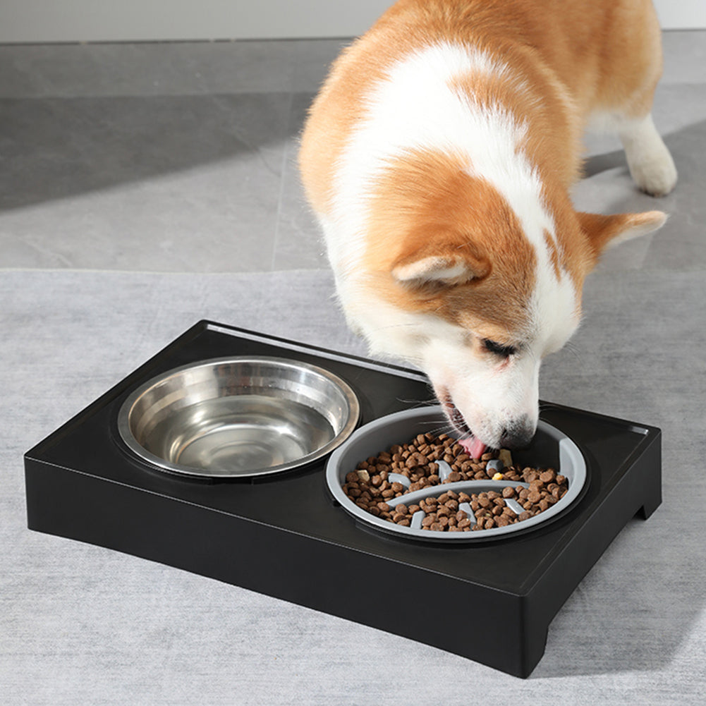 Height Adjustable Elevated Pet Feeder wiHeight Adjustable Elevated Pet Feeder with Stainless Steel Bowls – 2 Bowls, Removable Designth Two Bowls and Stand, WM0213