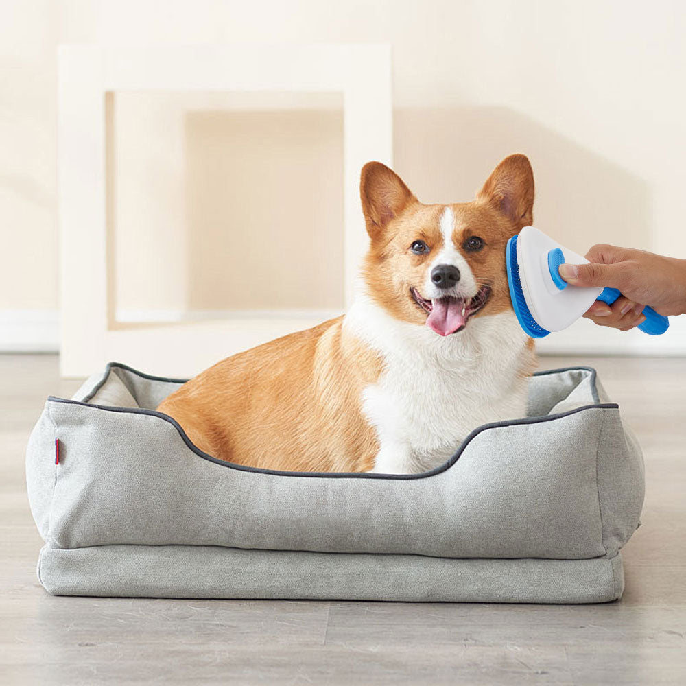 7-in-1 Pet Grooming Kit with Brushes, Nail Clippers & Toothbrush