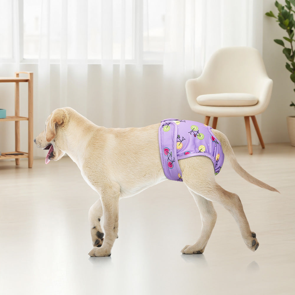 Reusable Pet Nappies – 3-Pack Washable Diapers for Medium Pets, Leak-Proof & Soft Fit