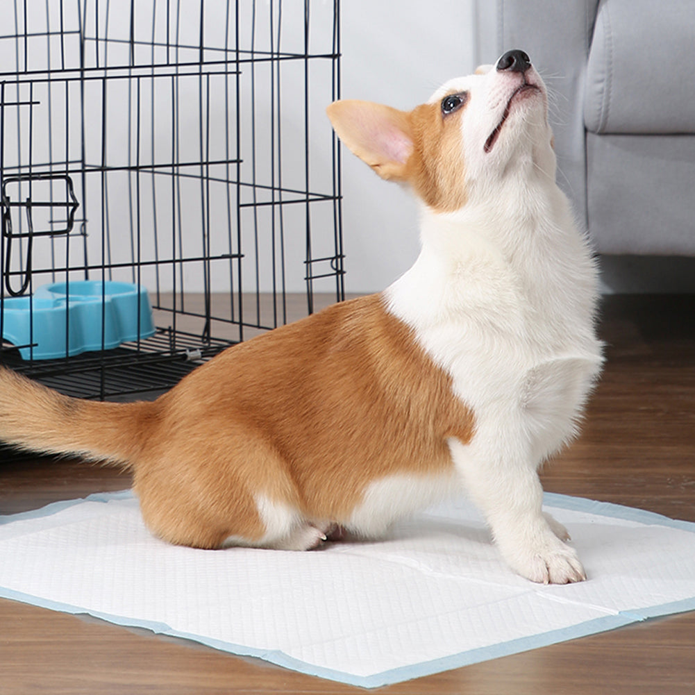 M-Size Disposable Training Pads for Puppies & Cats – 50-Pack, Quick Absorbency