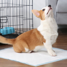 L-Size Disposable Training Pads for Puppies & Cats – 40-Pack, Extra Absorbent