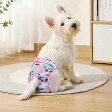 Reusable Pet Nappies – 3-Pack Washable Diapers for Medium Pets, Leak-Proof & Soft Fit