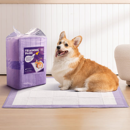 50-Piece Disposable Pet Training Pads – Lavender Scented, Absorbent and Leak-Proof Pads for Puppies and Cats