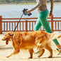 5m Retractable Dog Leash with LED Flashlight & Waste Bag Dispenser